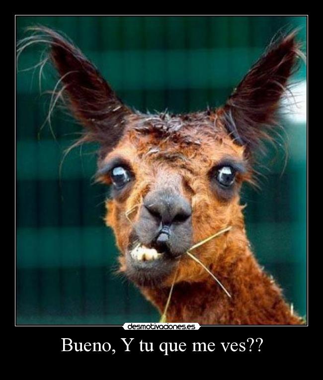 Bueno, Y tu que me ves?? - 