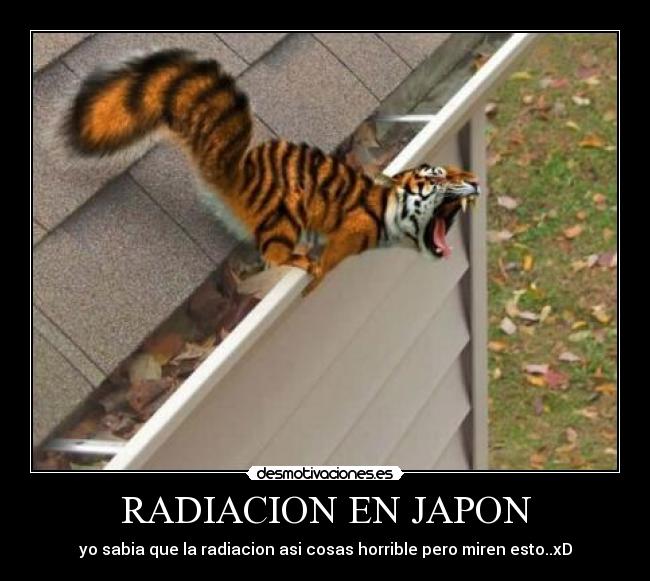 RADIACION EN JAPON -
