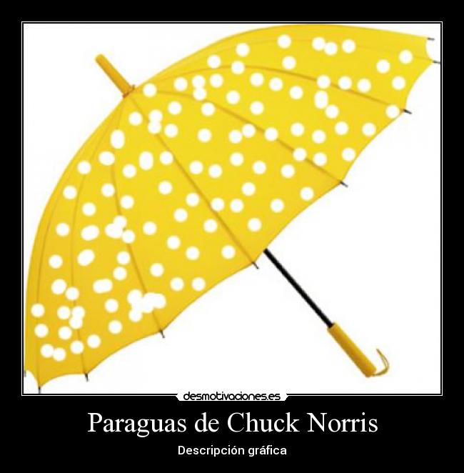 Paraguas de Chuck Norris - Descripción gráfica