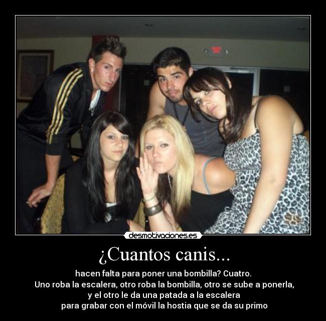 ¿Cuantos canis... - 