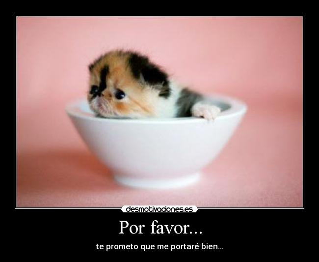 Por favor... -