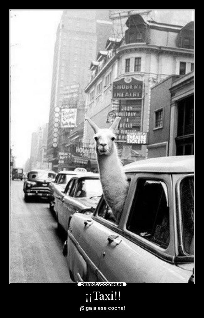 ¡¡Taxi!! -