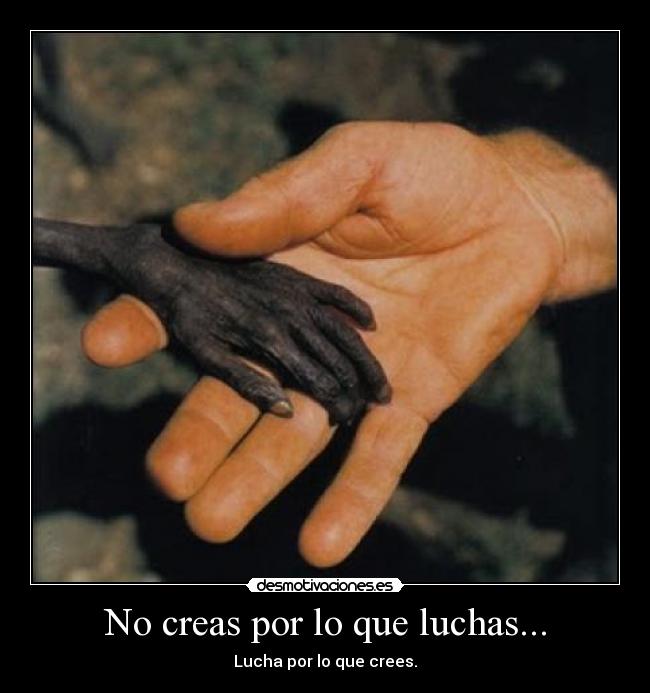 No creas por lo que luchas... - Lucha por lo que crees.
