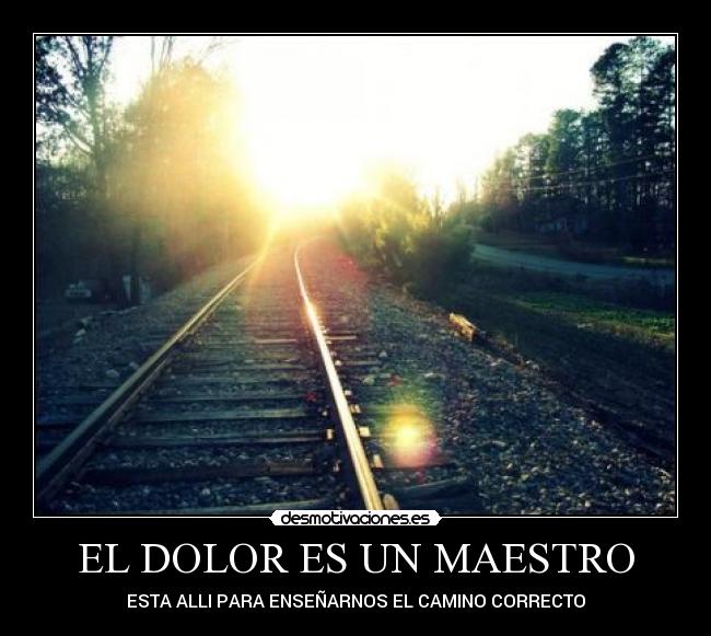 carteles dolor dolor maestro desmotivaciones