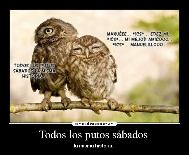 Todos los putos sábados -