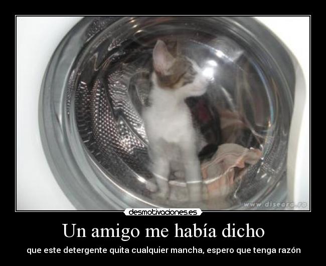 carteles gato mancha desmotivaciones