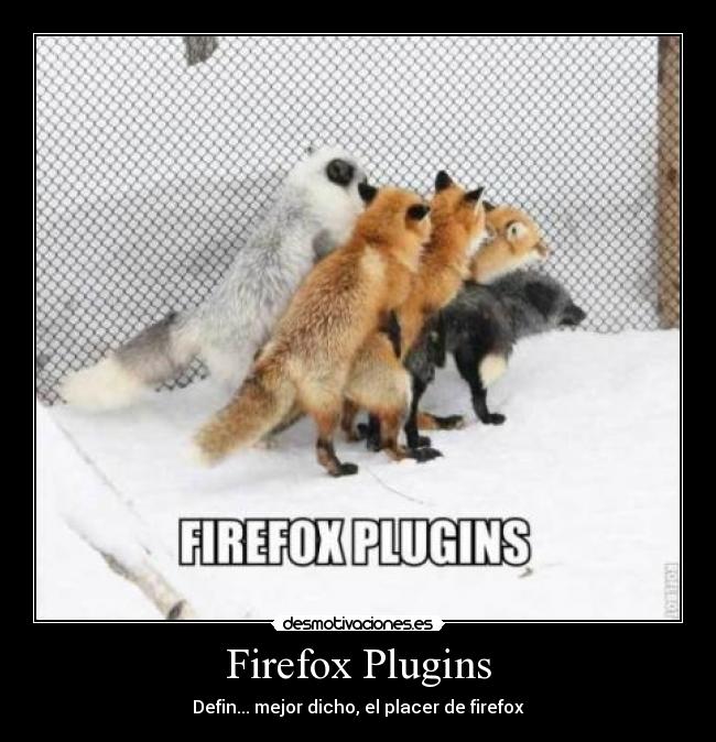 Firefox Plugins - 