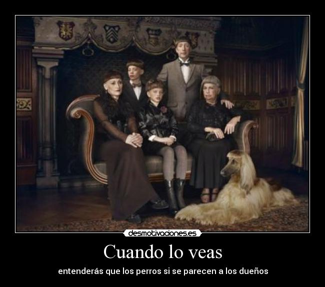 Cuando lo veas - entenderás que los perros si se parecen a los dueños