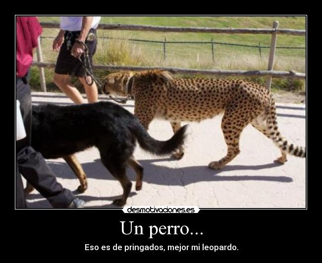 carteles xexomlg desmotivaciones