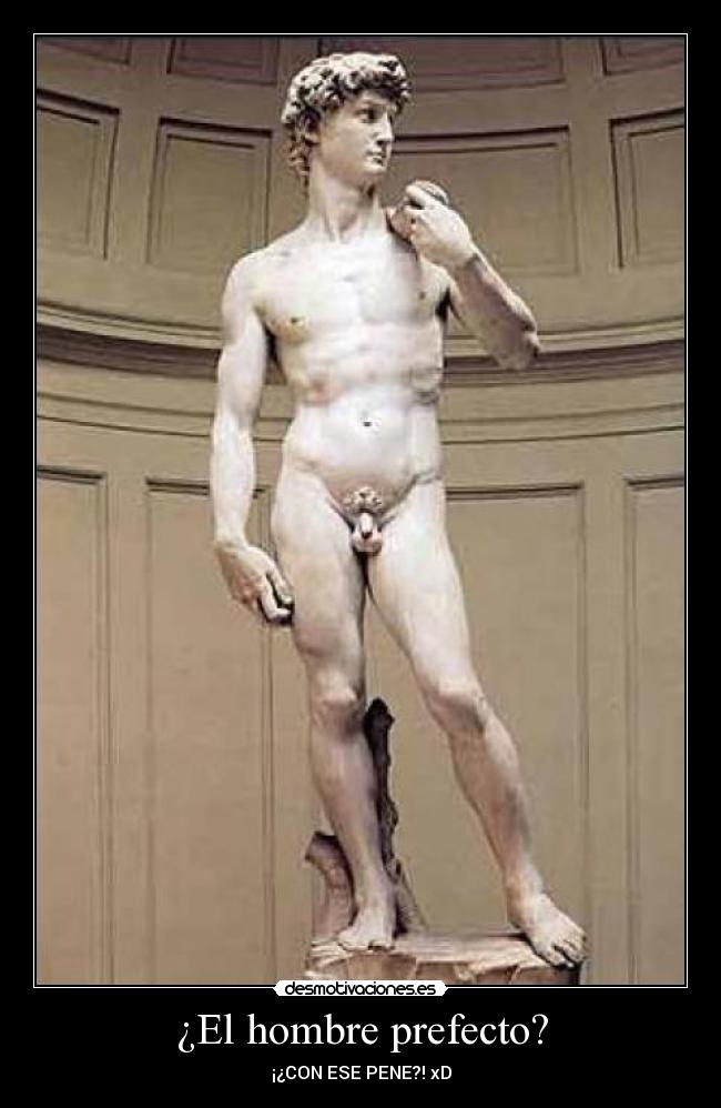 carteles hombre perfecto pene desmotivaciones