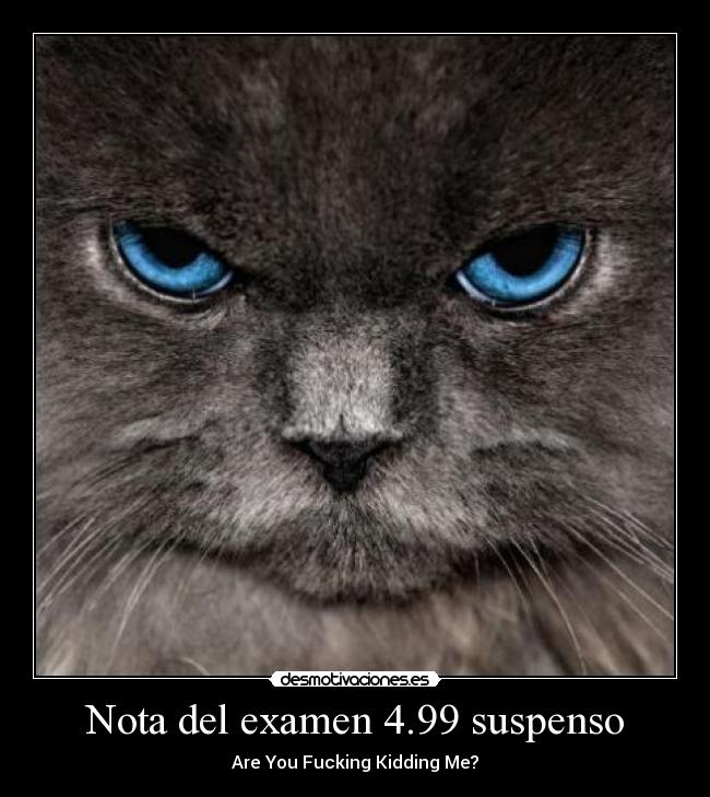 Nota del examen 4.99 suspenso - Are You Fucking Kidding Me?