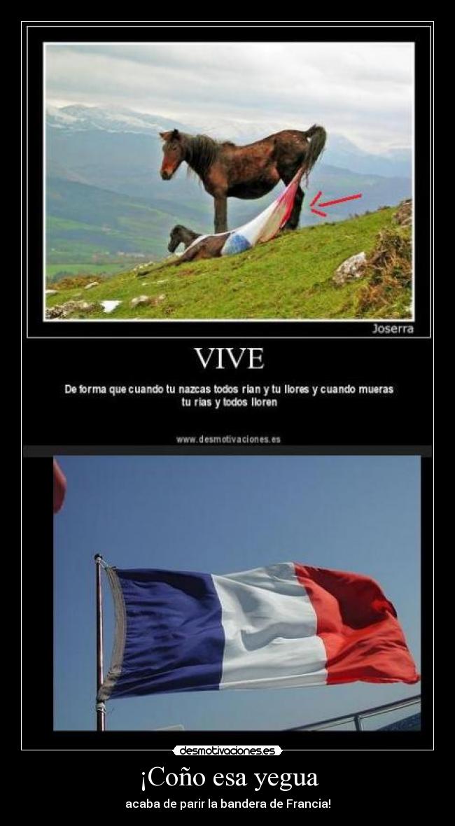 ¡Coño esa yegua - acaba de parir la bandera de Francia!