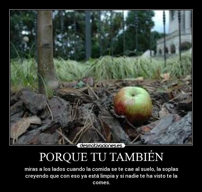 PORQUE TU TAMBIÉN -