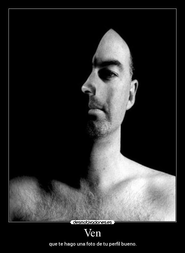 Ven - que te hago una foto de tu perfil bueno.