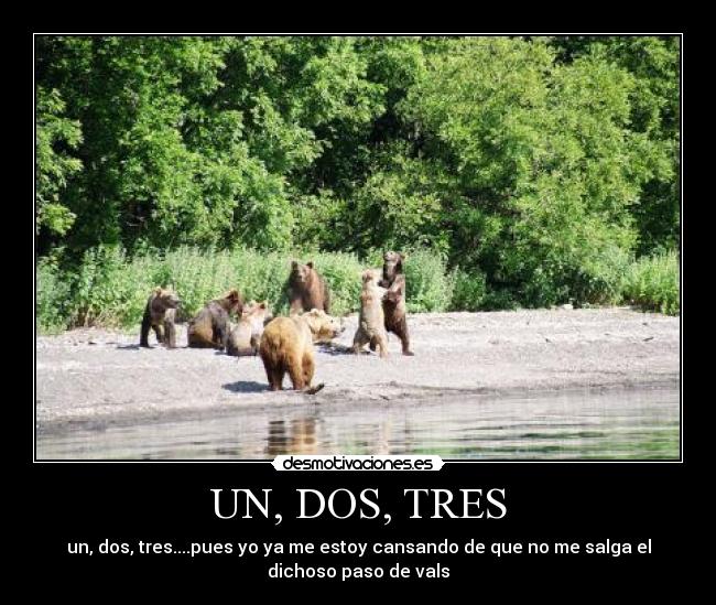 UN, DOS, TRES - 