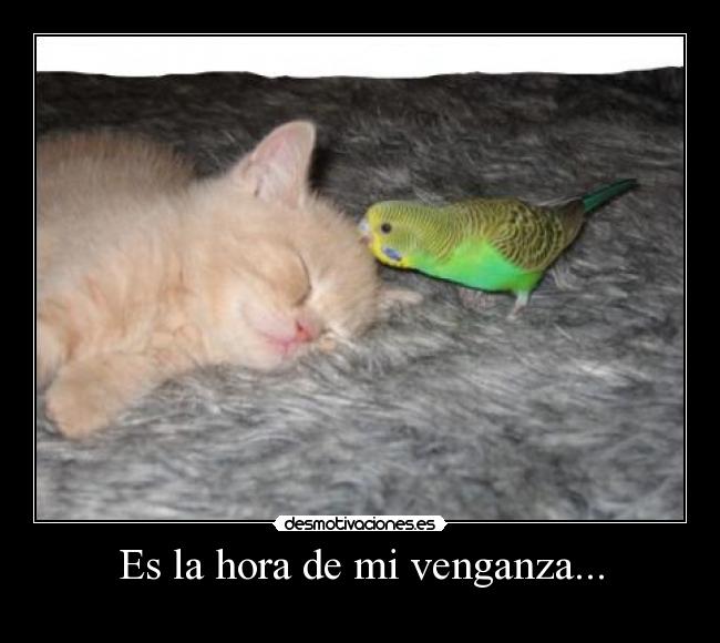Es la hora de mi venganza... -