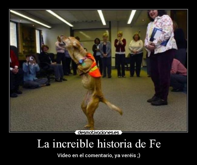 La increible historia de Fe - 