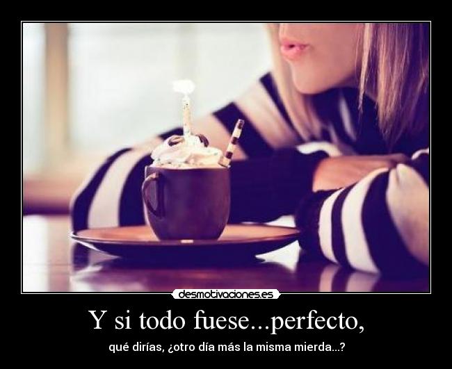 Y si todo fuese...perfecto, - 