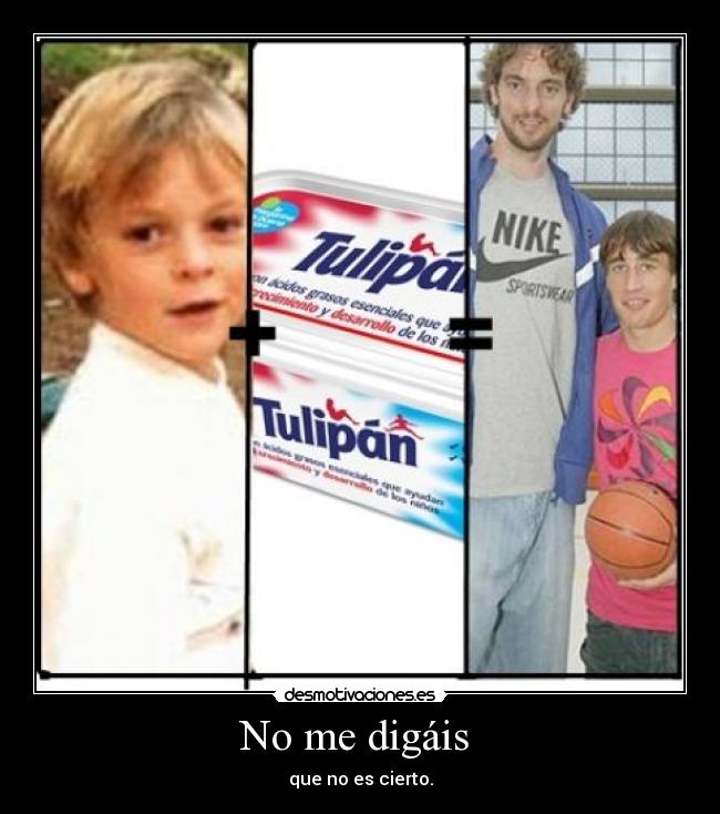 carteles pau gasol desmotivaciones