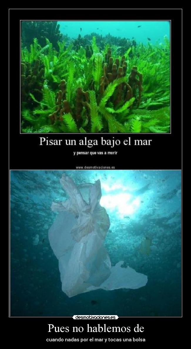 Pues no hablemos de -