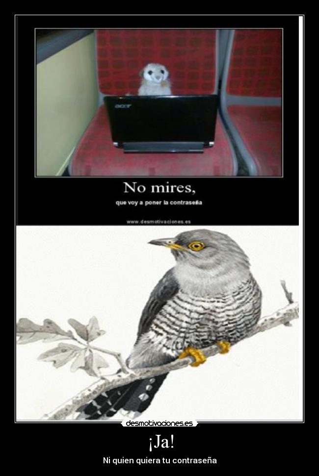 ¡Ja! - Ni quien quiera tu contraseña