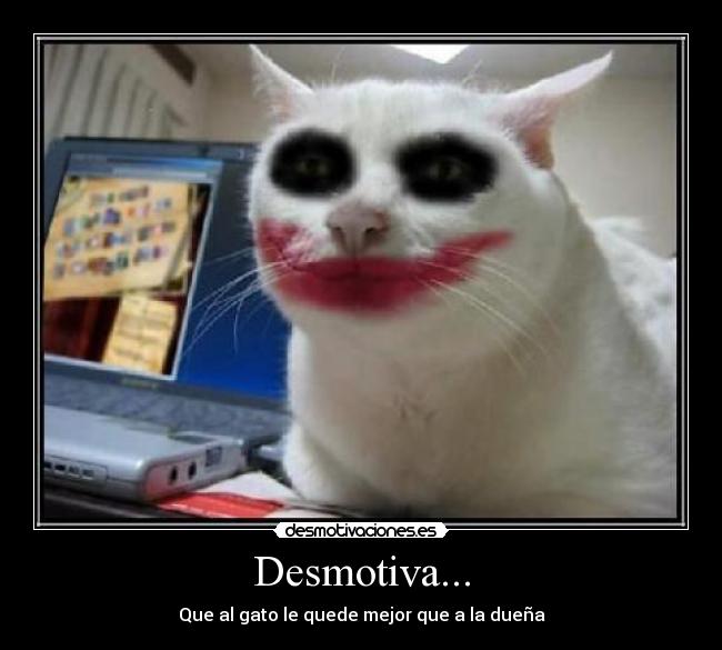 carteles desmotiva gatosmaquillaje sombra ojos labios pinta labios blanco desmotivaciones