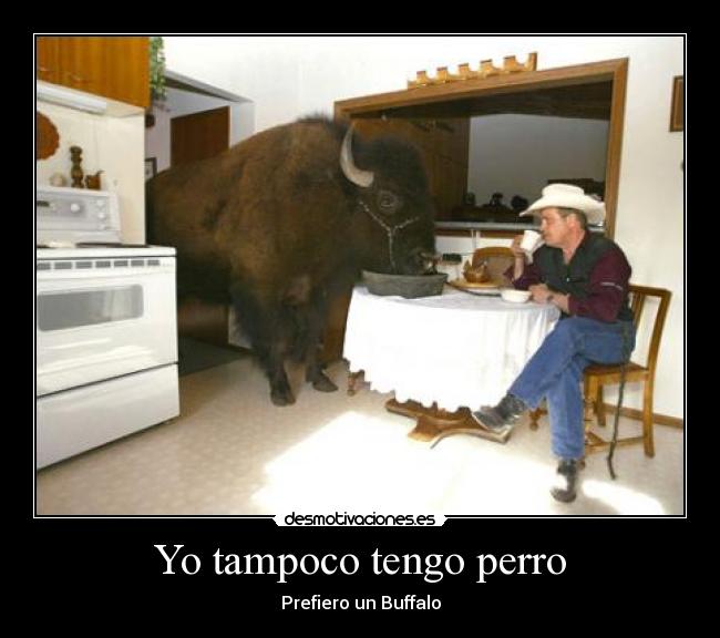 carteles animal desmotivaciones