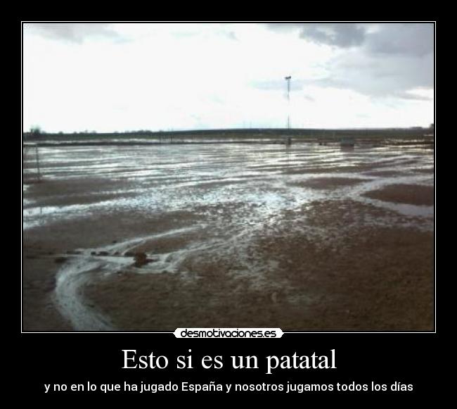 Esto si es un patatal -