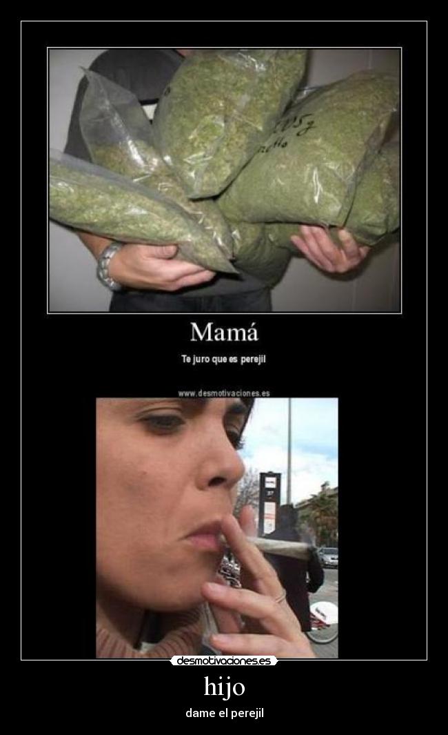 hijo - dame el perejil