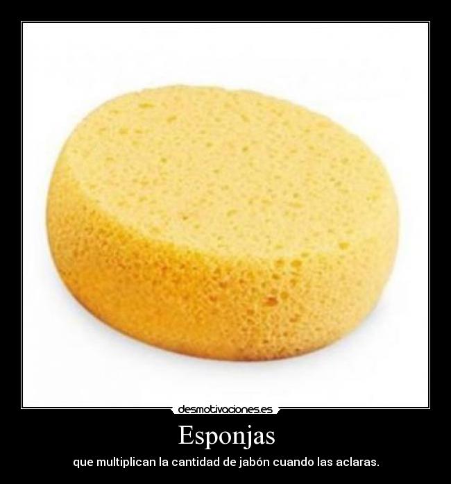 Esponjas - 