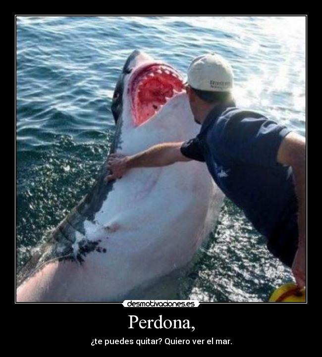 Perdona, - ¿te puedes quitar? Quiero ver el mar.