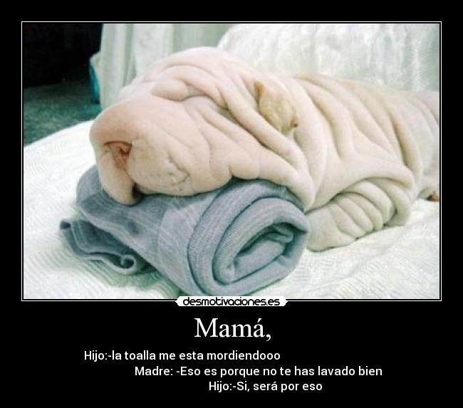 Mamá, - Hijo:-la toalla me esta mordiendooo
Madre: -Eso es porque no te has lavado bien
Hijo:-Si, será por eso