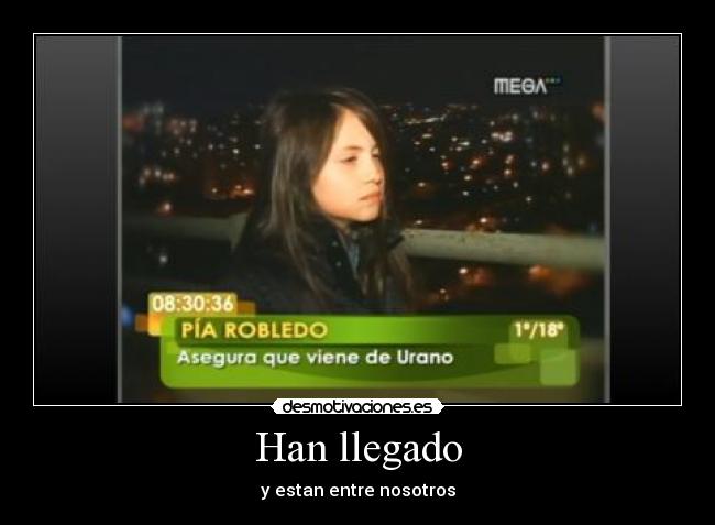 Han llegado -