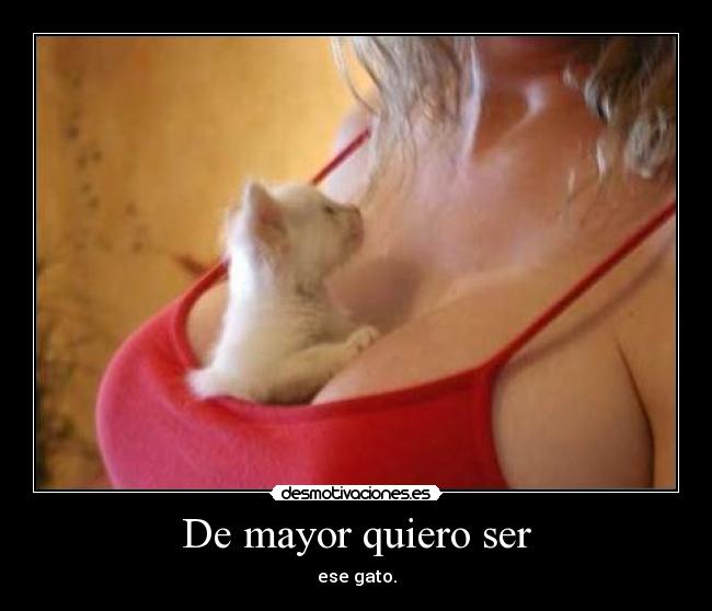 De mayor quiero ser -