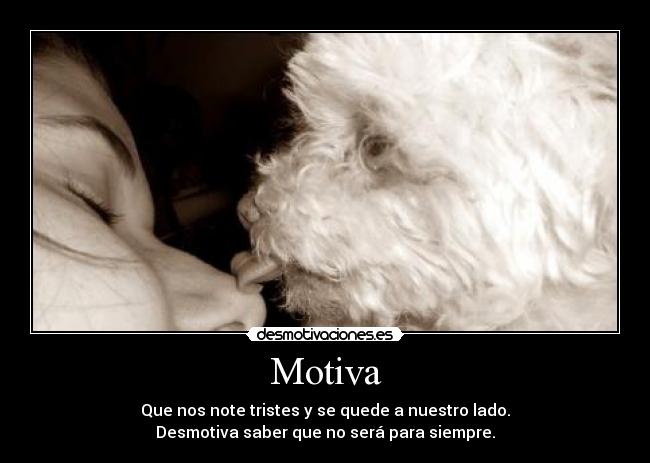 Motiva -