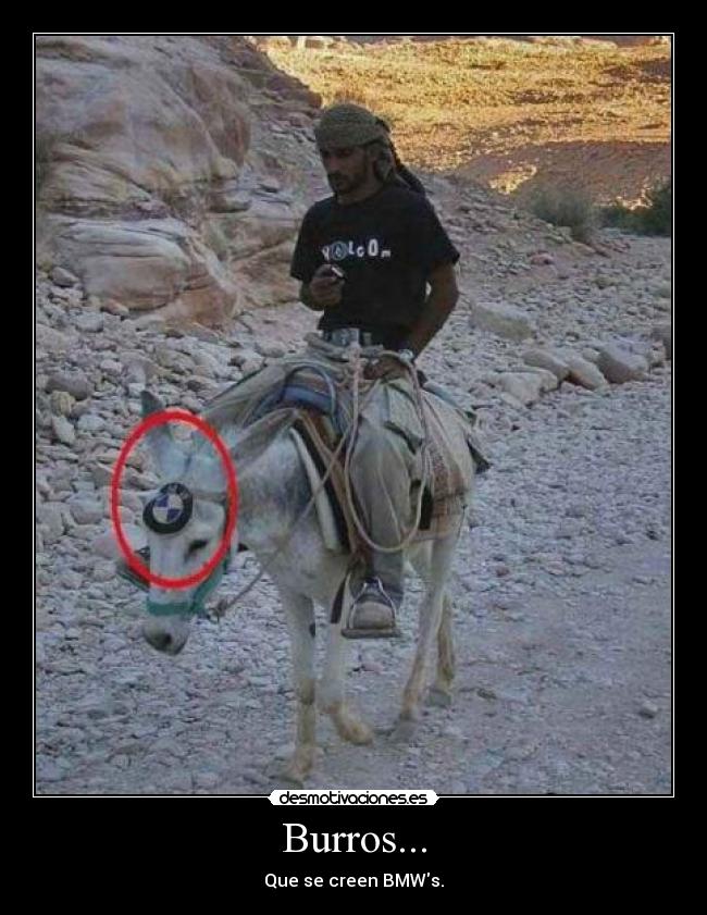 Burros... - Que se creen BMWs.