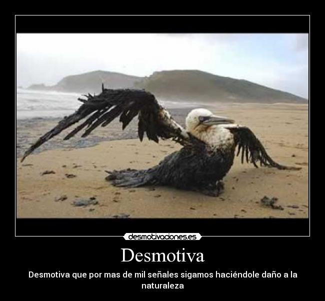 Desmotiva - Desmotiva que por mas de mil señales sigamos haciéndole daño a la naturaleza