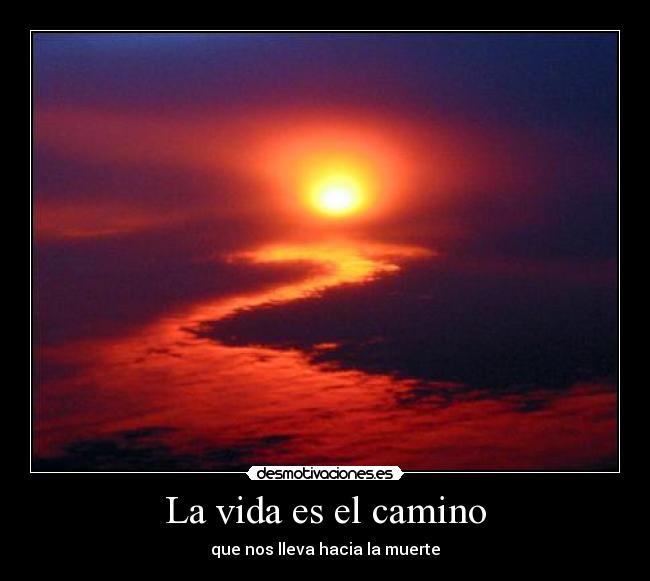 La vida es el camino - que nos lleva hacia la muerte