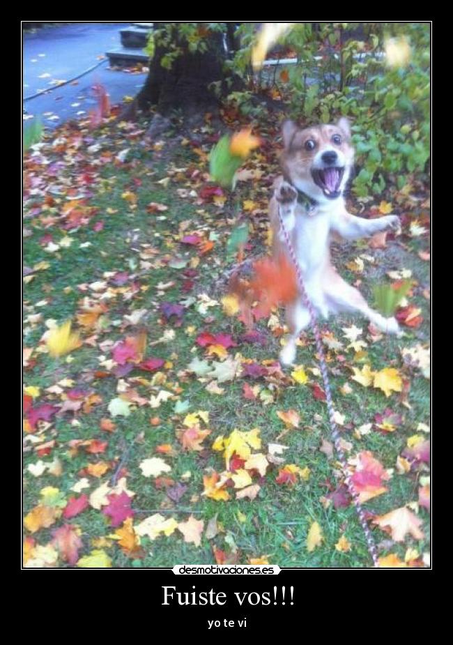 Fuiste vos!!! - 
