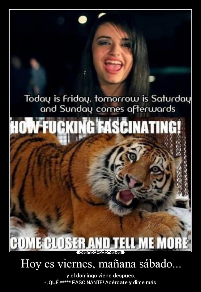Hoy es viernes, mañana sábado... - y el domingo viene después.
- ¡QUÉ ***** FASCINANTE! Acércate y dime más.