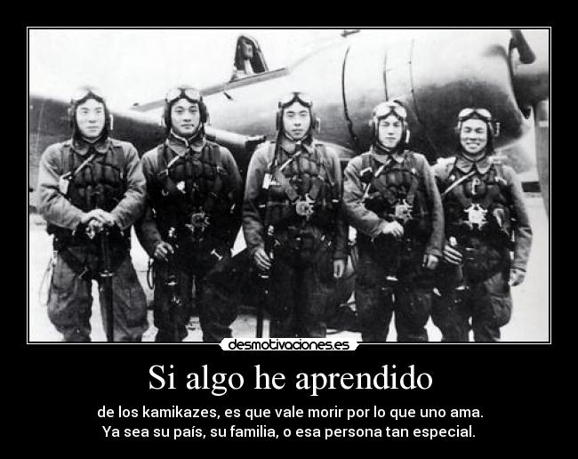 carteles algo aprendido desmotivaciones