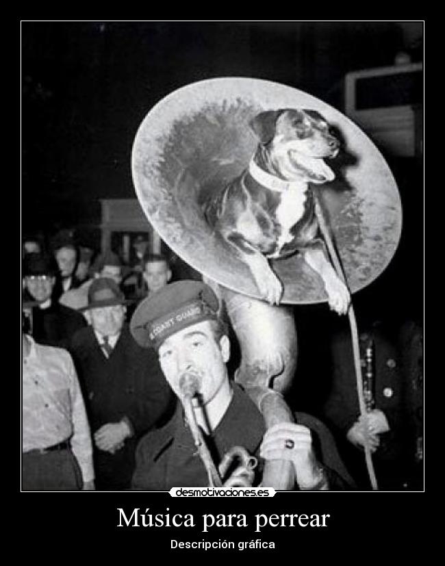 Música para perrear - Descripción gráfica