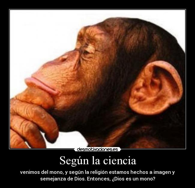 Según la ciencia - 