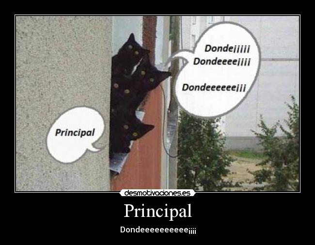 Principal - Dondeeeeeeeeee¡¡¡¡