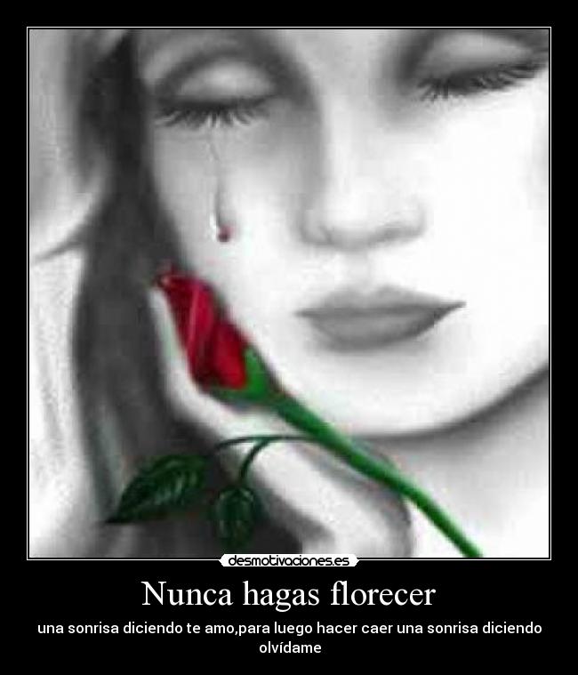 Nunca hagas florecer - una sonrisa diciendo te amo,para luego hacer caer una sonrisa diciendo olvídame