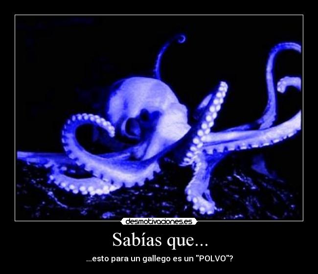 Sabías que... - ...esto para un gallego es un POLVO?