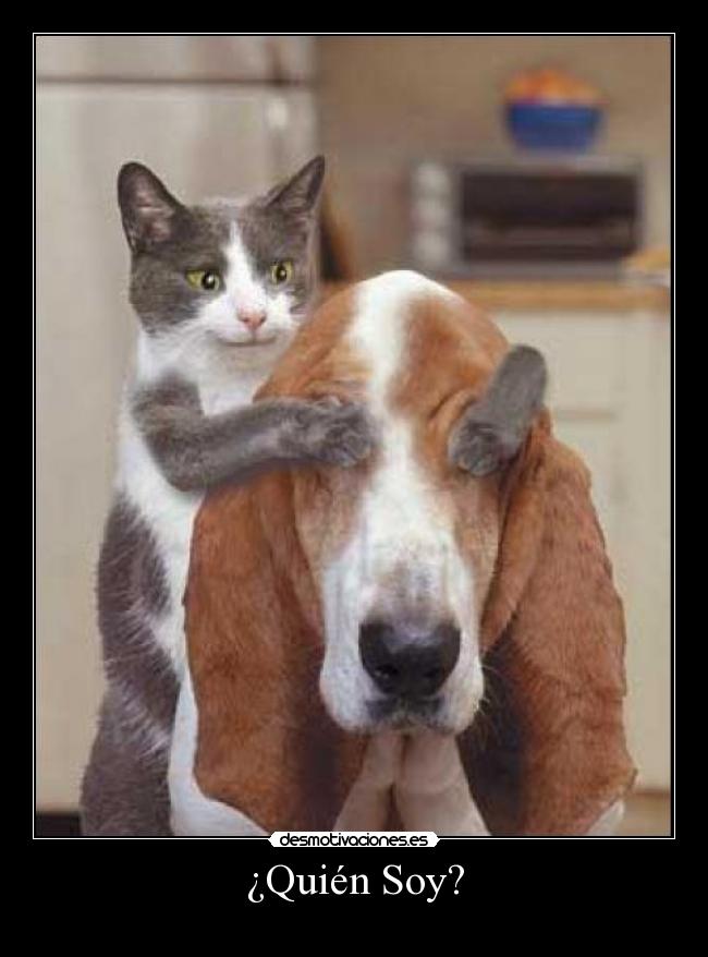 ¿Quién Soy? -