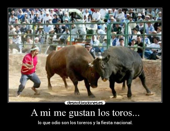 A mi me gustan los toros... -