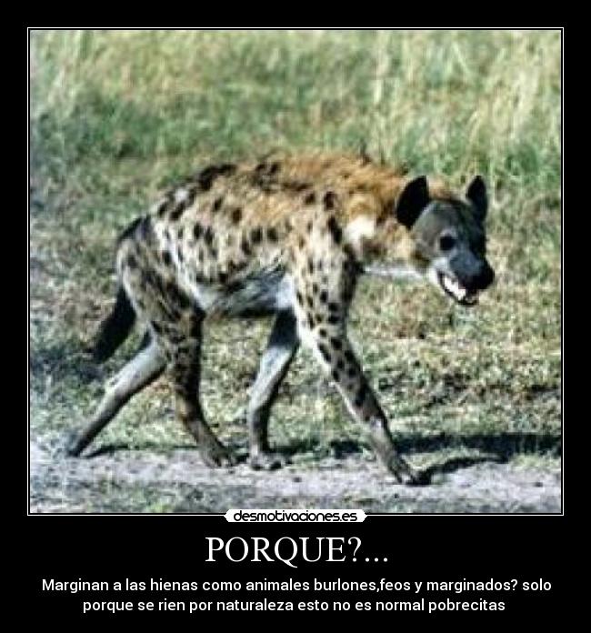 PORQUE?... -