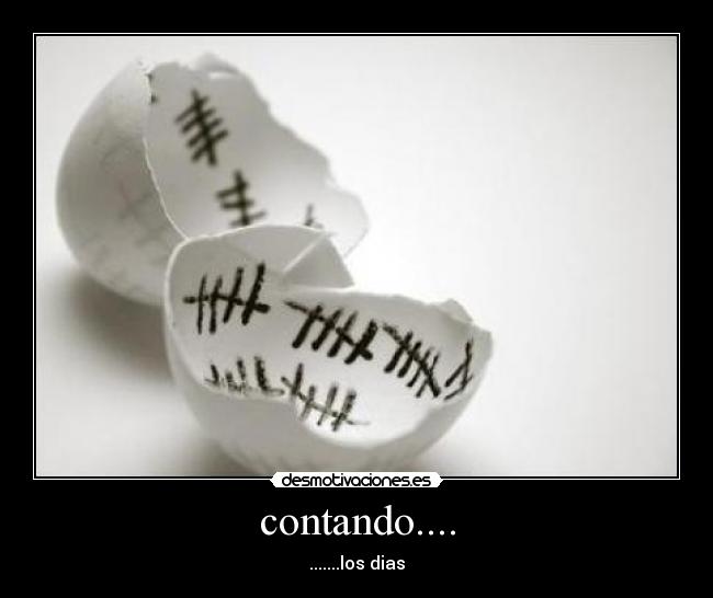 contando.... - 